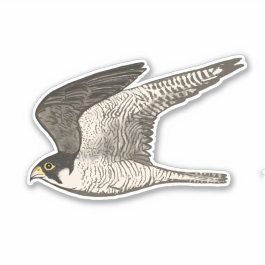 Kunst met gekleurd potlood in vliegende valk sticker (Voorkant)