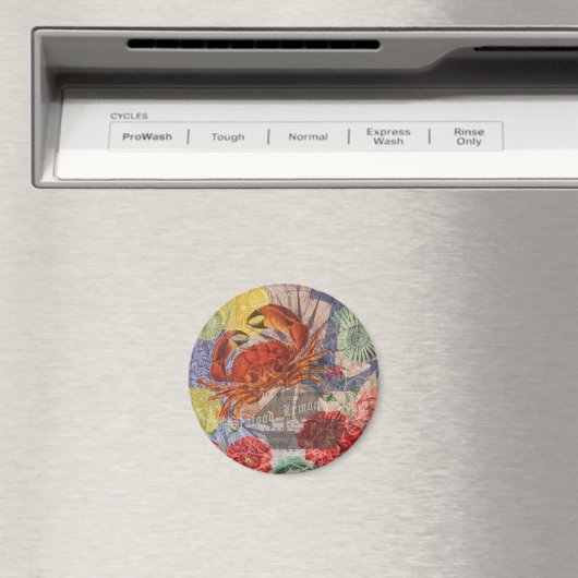 Kunst met krabben magneet (Insitu (Vaatwasser))