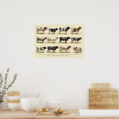 Kunst met Retro Rundvee Rassen Poster (Keuken)