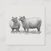 Kunst met twee schapen geïllustreerd informatiekaartje (Voorkant)