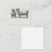 Kunst met twee schapen geïllustreerd informatiekaartje (Voorkant / Achterkant)