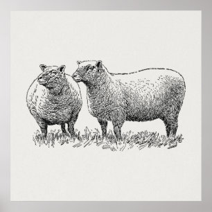 Kunst met twee schapen geïllustreerd poster