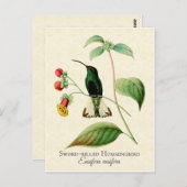  kunst met zwaardbevochtigde kogels briefkaart (Voorkant / Achterkant)