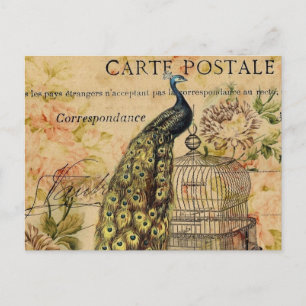 kunst nouveau  peace ock frans provincie briefkaart
