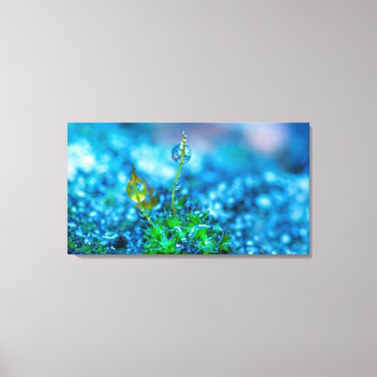 Kunst op canvas - Gras met waterdruppels Afdruk (Voorkant)