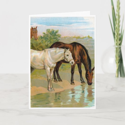 kunst - Paarden bij de Pond, Kaart (Voorkant)