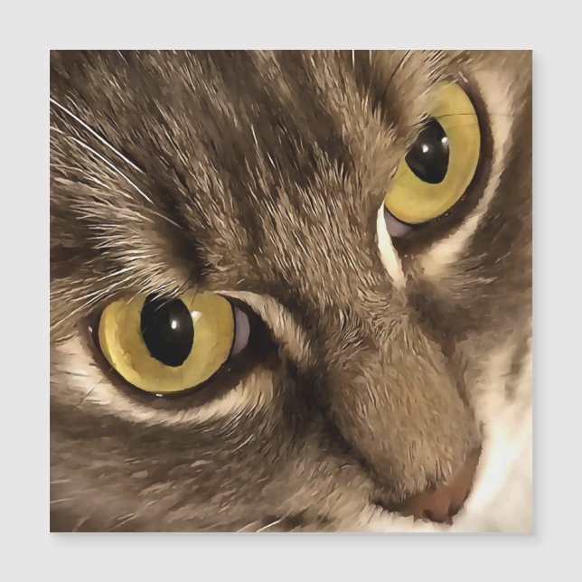 Kunst sluit Kat Portret Eyes en Nose op (Voorkant)