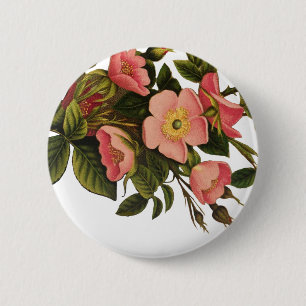 Kunst ter illustratie van Antiek Roos Vintage vent Ronde Button 5,7 Cm