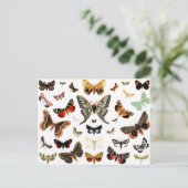 Kunst ter illustratie van Butterflies en Moths Briefkaart (Staand voorkant)