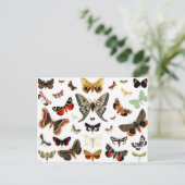 Kunst ter illustratie van  Butterflies en Moths Briefkaart (Staand voorkant)