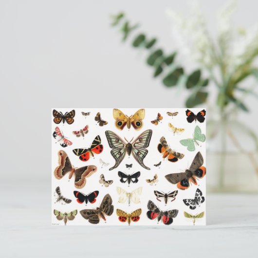 Kunst ter illustratie van  Butterflies en Moths Briefkaart (Staand voorkant)