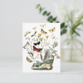 Kunst ter illustratie van  Butterflies en Moths Briefkaart (Staand voorkant)