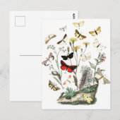 Kunst ter illustratie van  Butterflies en Moths Briefkaart (Voorkant / Achterkant)