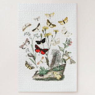Kunst ter illustratie van  Butterflies en Moths Legpuzzel