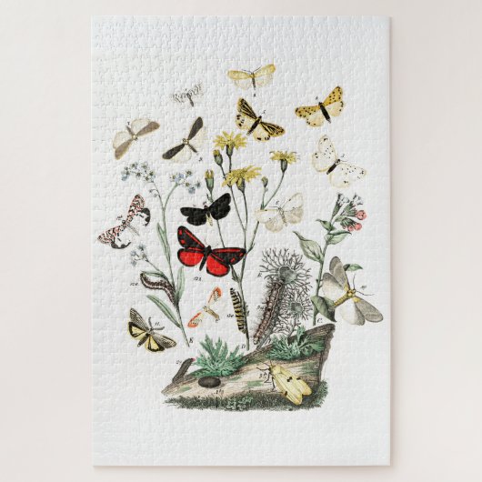 Kunst ter illustratie van  Butterflies en Moths Legpuzzel (Verticaal)
