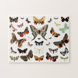 Kunst ter illustratie van  Butterflies en Moths Legpuzzel