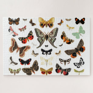 Kunst ter illustratie van  Butterflies en Moths Legpuzzel