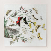 Kunst ter illustratie van Butterflies en Moths Legpuzzel (Horizontaal)