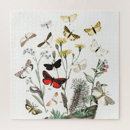 Kunst ter illustratie van Butterflies en Moths Legpuzzel (Verticaal)