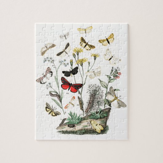Kunst ter illustratie van Butterflies en Moths Legpuzzel (Verticaal)