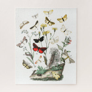 Kunst ter illustratie van  Butterflies en Moths Legpuzzel