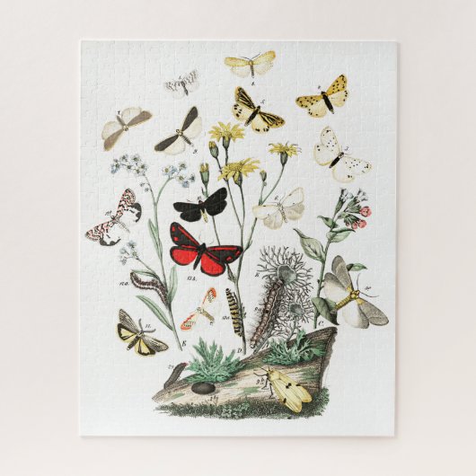 Kunst ter illustratie van  Butterflies en Moths Legpuzzel (Verticaal)