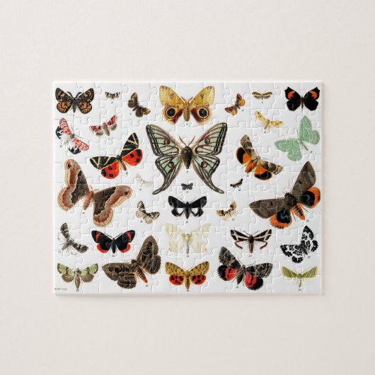 Kunst ter illustratie van  Butterflies en Moths Legpuzzel (Horizontaal)
