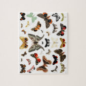 Kunst ter illustratie van  Butterflies en Moths Legpuzzel (Verticaal)