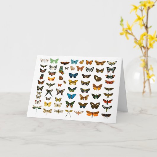 Kunst ter illustratie van  Butterflies Kaart (Gele Bloem)