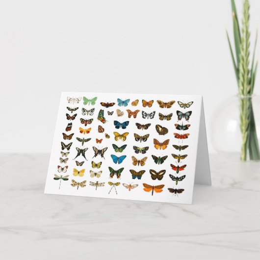 Kunst ter illustratie van  Butterflies Kaart (Voorkant)