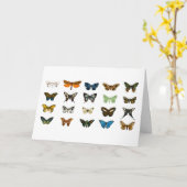 Kunst ter illustratie van  Butterflies Kaart (Gele Bloem)