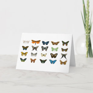 Kunst ter illustratie van  Butterflies Kaart