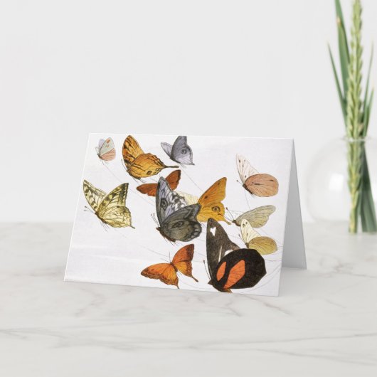 Kunst ter illustratie van  Butterflies Kaart (Voorkant)