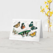 Kunst ter illustratie van kleurrijke vlinders kaart (Gele Bloem)