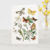 Kunst ter illustratie van kleurrijke vlinders kaart (Gele Bloem)