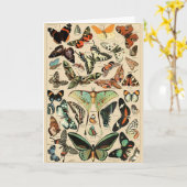 Kunst ter illustratie van kleurrijke vlinders kaart (Gele Bloem)