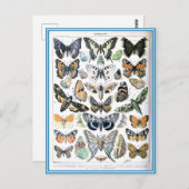 Kunst ter illustratie van  papillon Butterflies Briefkaart (Voorkant / Achterkant)