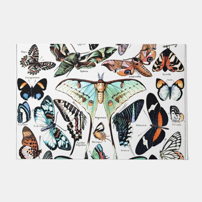 Kunst ter illustratie van  papillon Butterflies Deurmat (Voorkant)