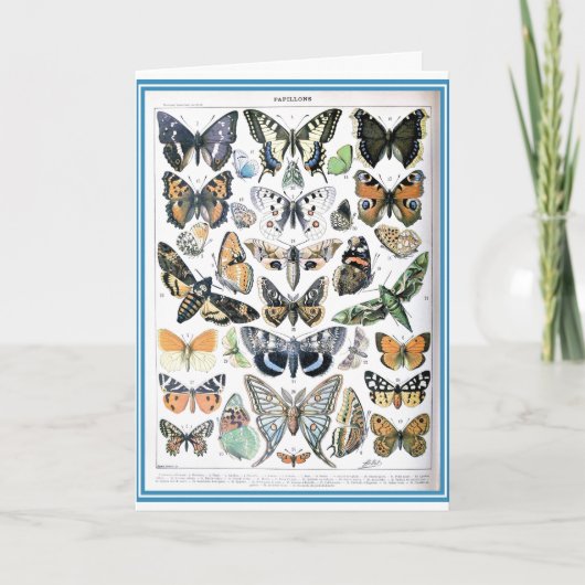 Kunst ter illustratie van papillon Butterflies Kaart (Voorkant)