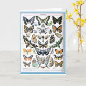 Kunst ter illustratie van papillon Butterflies Kaart (Gele Bloem)