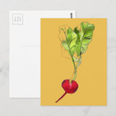 Kunst ter illustratie van Radiale plantaardige wat Briefkaart (Voorkant / Achterkant)