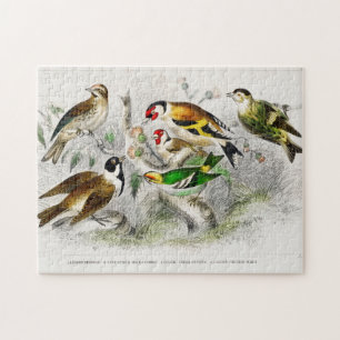 Kunst ter illustratie van  vogelboeken legpuzzel