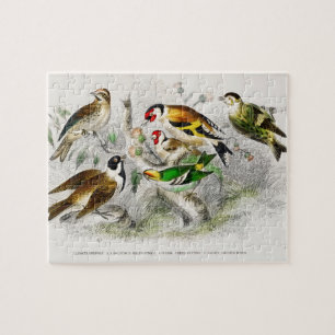 Kunst ter illustratie van vogelboeken legpuzzel