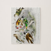 Kunst ter illustratie van  vogelboeken legpuzzel (Verticaal)