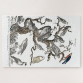 Kunst ter illustratie van  vogelboeken legpuzzel (Horizontaal)