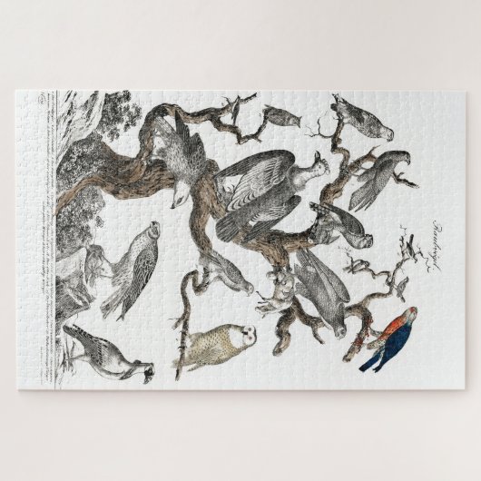 Kunst ter illustratie van  vogelboeken legpuzzel (Horizontaal)