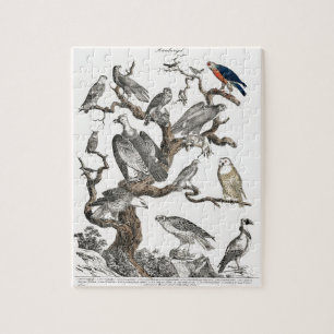 Kunst ter illustratie van  vogelboeken legpuzzel