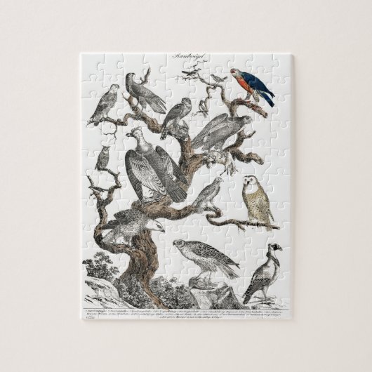 Kunst ter illustratie van vogelboeken legpuzzel (Verticaal)