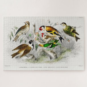 Kunst ter illustratie van  vogelboeken legpuzzel