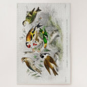 Kunst ter illustratie van  vogelboeken legpuzzel (Verticaal)